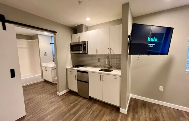 Studio, 1 bath, 254 sqft, $1,675, Unit 434-203