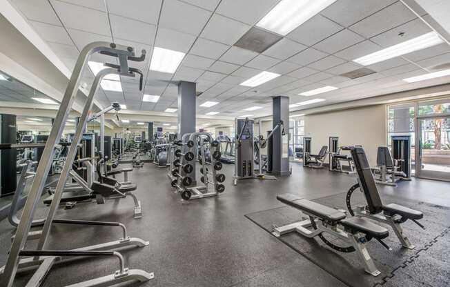 a gym with cardio equipment and weights on the floor