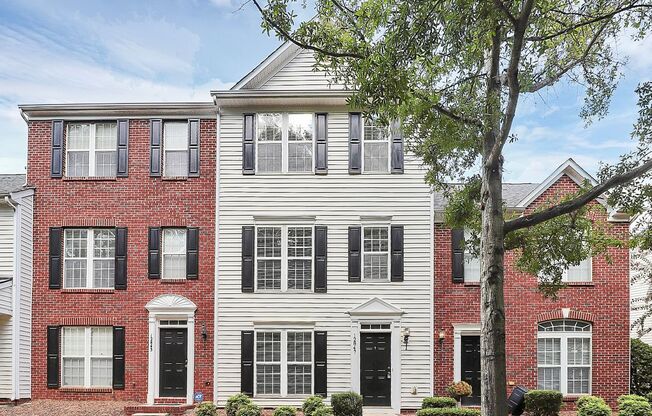 12847 Bullock Greenway Blvd Ballantyne area