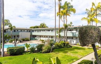 The Palms