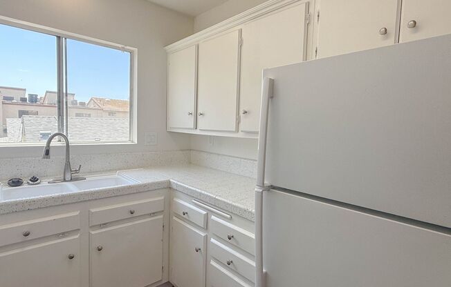 Adams North | Beautiful 1 Bed 1 Bath