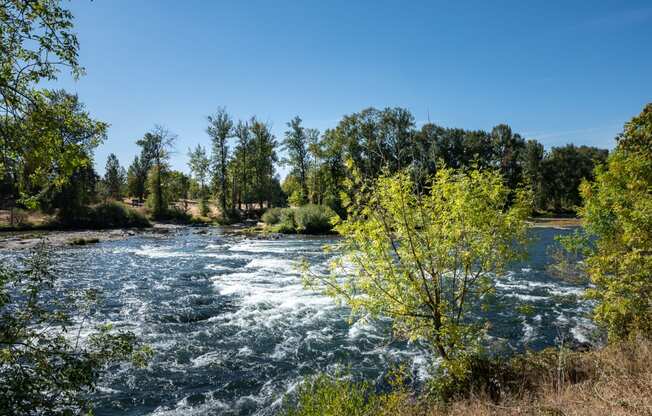 Boulders on the River | View