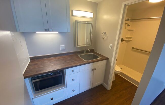 Studio, 1 bath, 210 sqft, $997, Unit 808