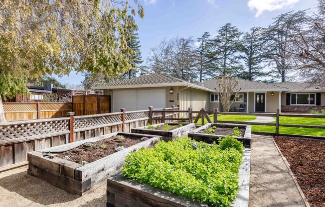 Gorgeous Single Family Home in Palo Alto Available Now!