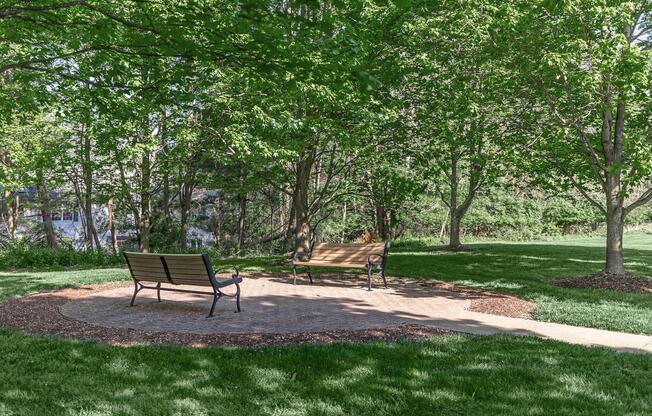 A serene park scene featuring two benches situated on a circular stone path surrounded by lush greenery and trees. The grassy area invites visitors to enjoy the peaceful outdoor space.