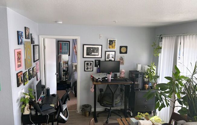 1 bed, 1 bath, 475 sqft, $1,850, Unit 204