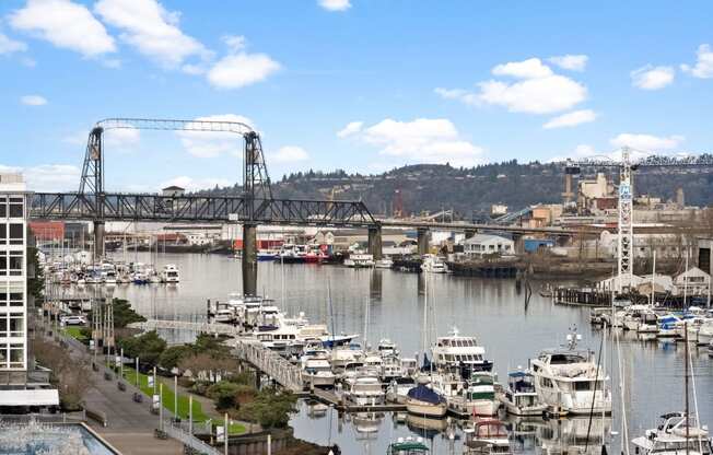 a view of a harbor with boats and a bridge