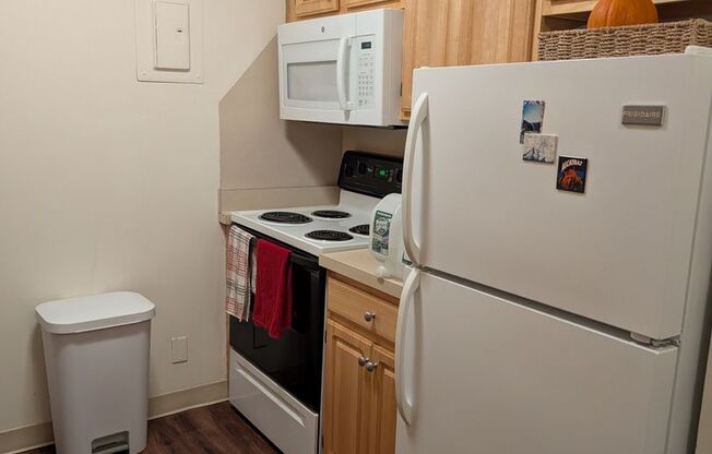 1 bed, 1 bath, 570 sqft, $2,900, Unit 502