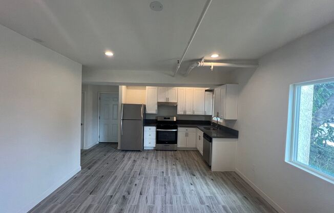 Newly Renovated 1 bedroom