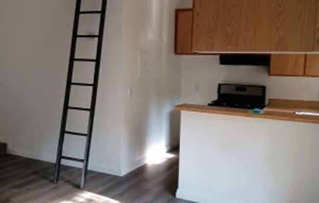 1 bed, 1 bath, 558 sqft, $1,850, Unit 310