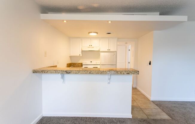 1 bed, 1 bath, 500 sqft, $1,550, Unit B