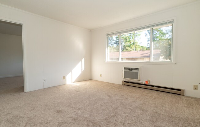 1 Bed 1 Bath Condo in Carrboro!