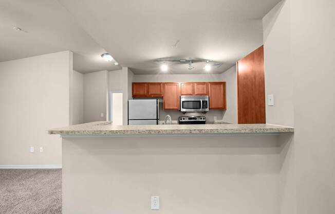 A kitchen with a countertop and cabinets.