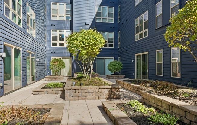 the courtyard of a blue building with a tree in the middle