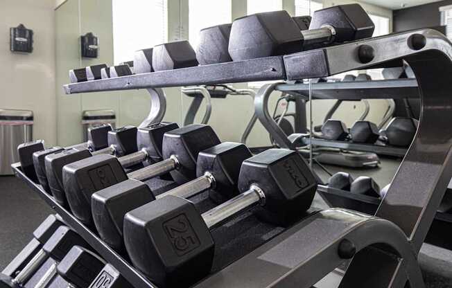 A set of dumbbells are on a rack in a gym.