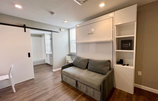 Studio, 1 bath, 258 sqft, $1,695, Unit 435-315