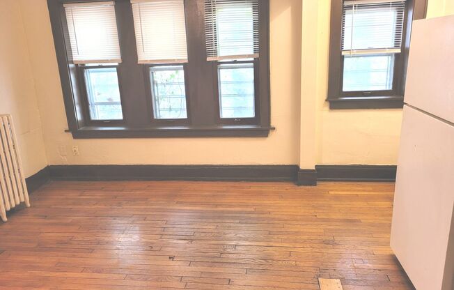 Studio, 1 bath, $775, Unit 109