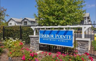 Harbor Pointe Apartments