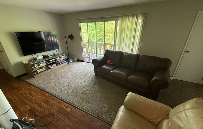 Williamsburg Flats 245