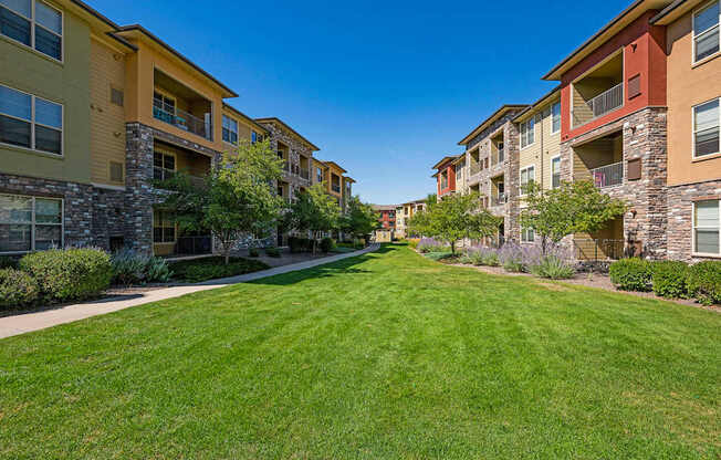 A row of apartment buildings with a green lawn in the foreground.