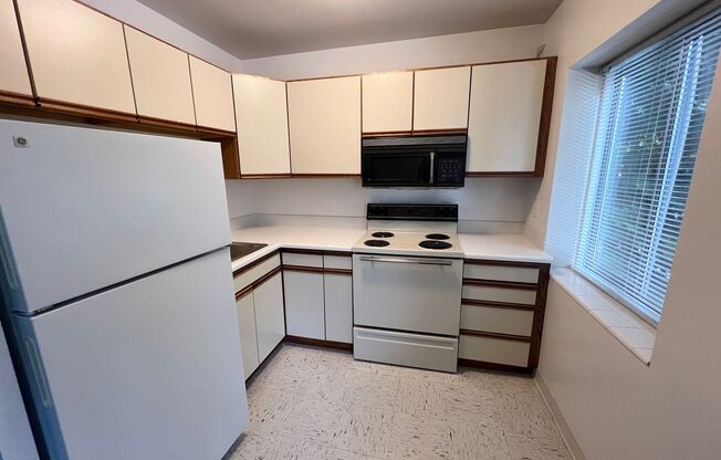 1 bed, 1 bath, 533 sqft, $1,250, Unit 203