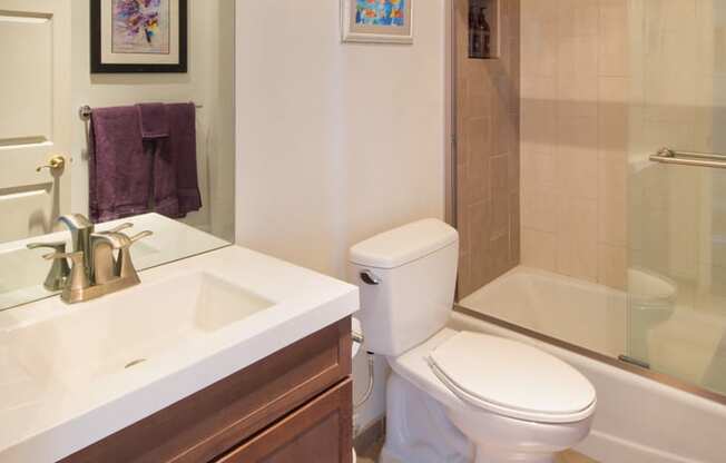 Apartment bathroom with vanity, shower tub combo