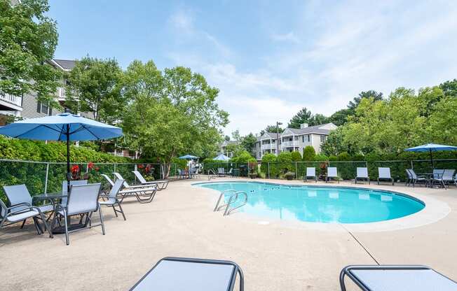 pool deck and folliage