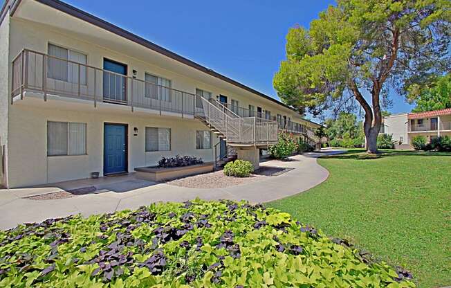 our apartments have a spacious courtyard with green grass and trees