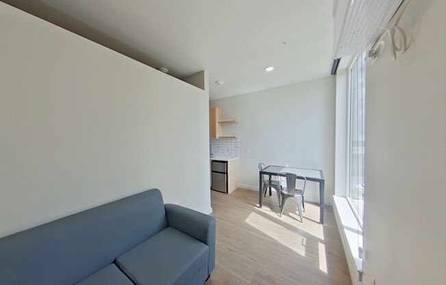 Studio, 1 bath, 314 sqft, $1,250, Unit 212