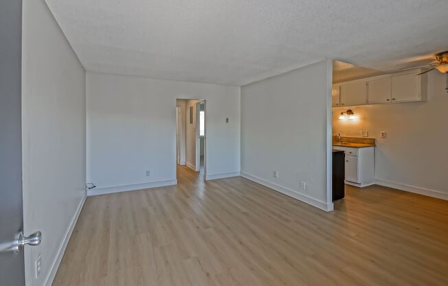 2423 Carnegie Lane
