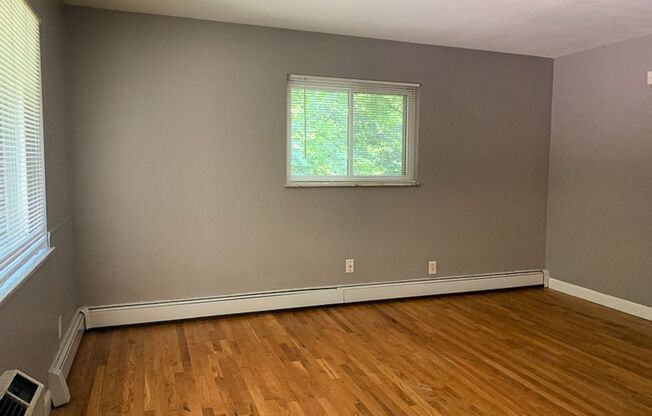 1 bed, 1 bath, 700 sqft, $900