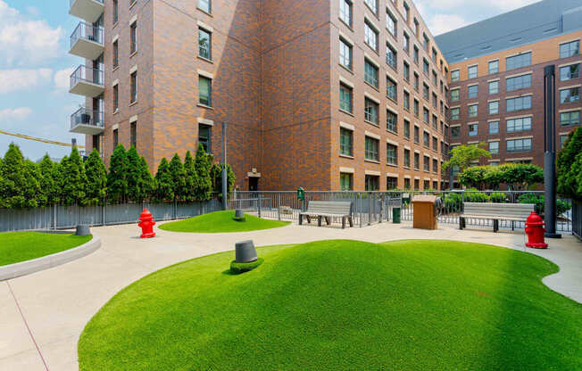 a grassy area for a dog park
