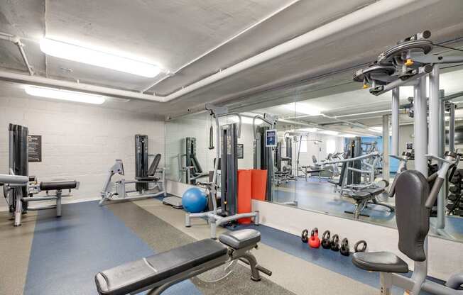 Fitness center with free weights at Mason Hall in Alexandria, VA 22314