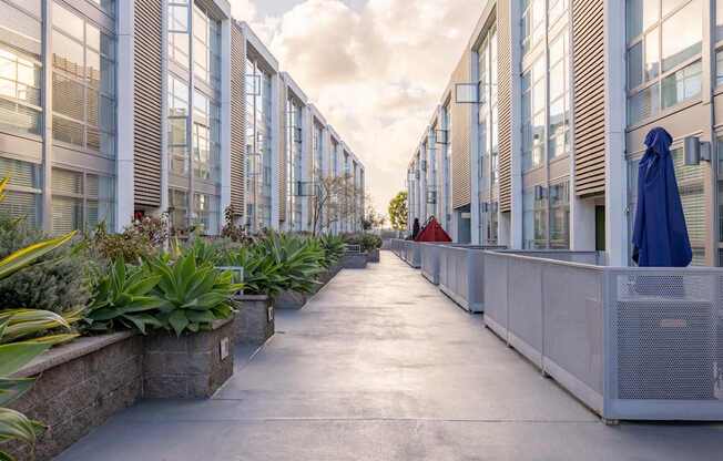 A long walkway with plants on both sides and a cloudy sky above.