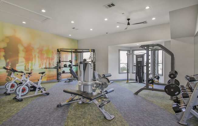 a gym with weights and exercise equipment in a building with a mural at Sladestone Shadow Creek, Texas, 77584