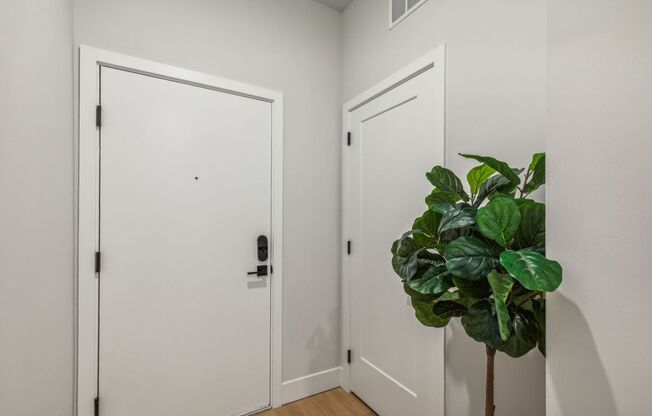 1 bed, 1 bath, 730 sqft, $1,850, Unit 410