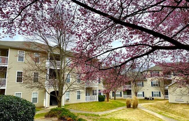 a row of apartment buildings with flowering trees