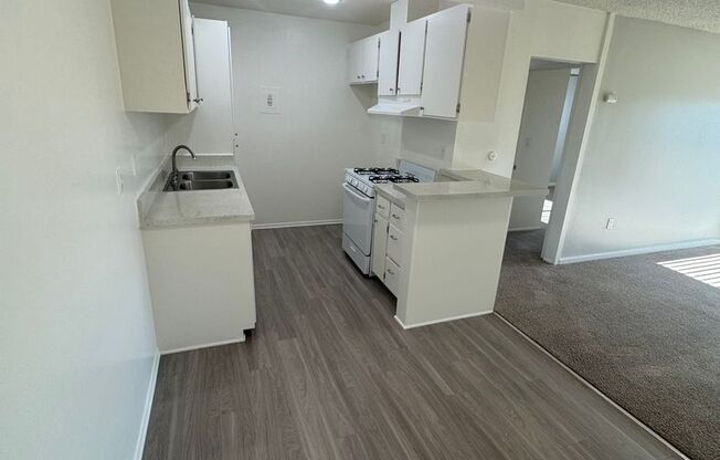 1 bed, 1 bath, 700 sqft, $2,010, Unit 442