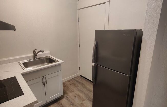 Studio, 1 bath, 306 sqft, $1,295, Unit 100