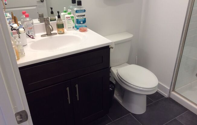 Studio, 1 bath, 575 sqft, $1,425, Unit Unit 407