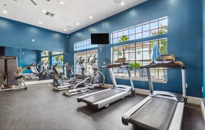 a gym with treadmills and other exercise equipment and windows at Reserve at Temple Terrace, Temple Terrace, FL 33637