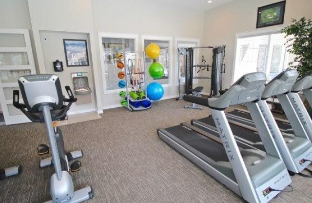 Fitness center showing the smith machine, band equipment, and exercise balls