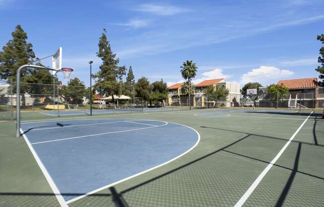 Full Basketball Court