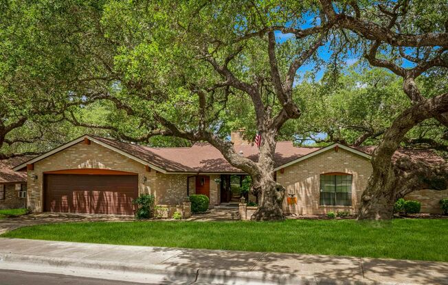 GORGEOUS OAK FOREST SINGLE-STORY HOME