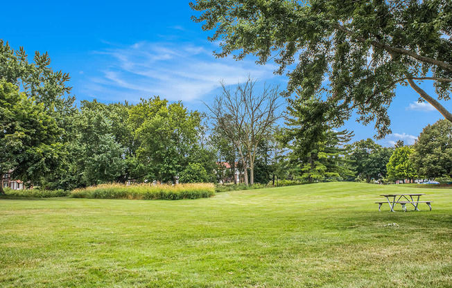 Beautiful green grounds with a picnic table and trees at Apple Ridge Apartments, Michigan, 49534