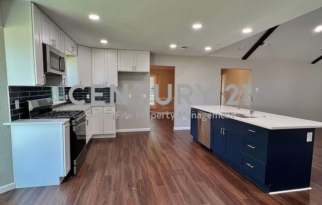 Upgraded and Remodeled 4/3/2 in Carrollton For Rent!