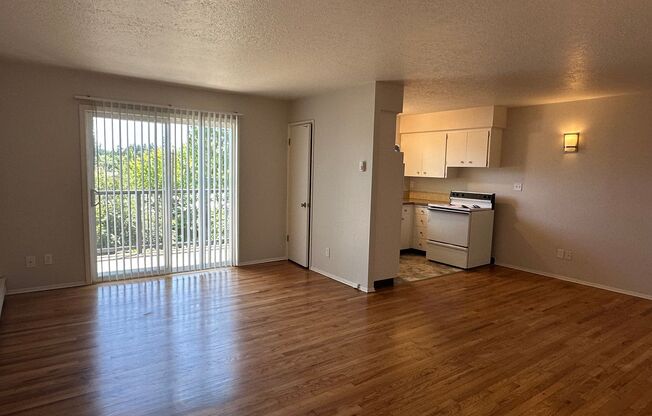 Raleigh Apartments