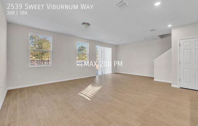 2539 SWEET VIBURNUM WAY