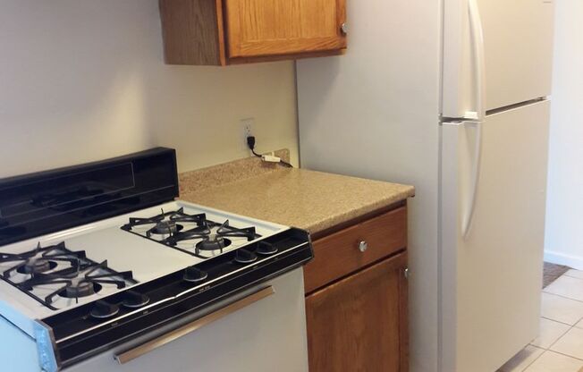 1 bed, 1 bath, 650 sqft, $1,100