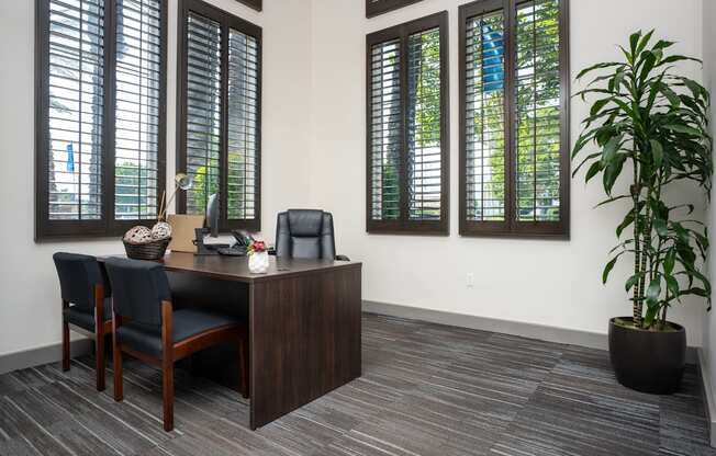 A room with a desk, chair, and a potted plant.